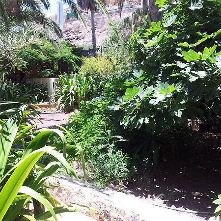 El Jardin Apartment Mogán Екстериор снимка